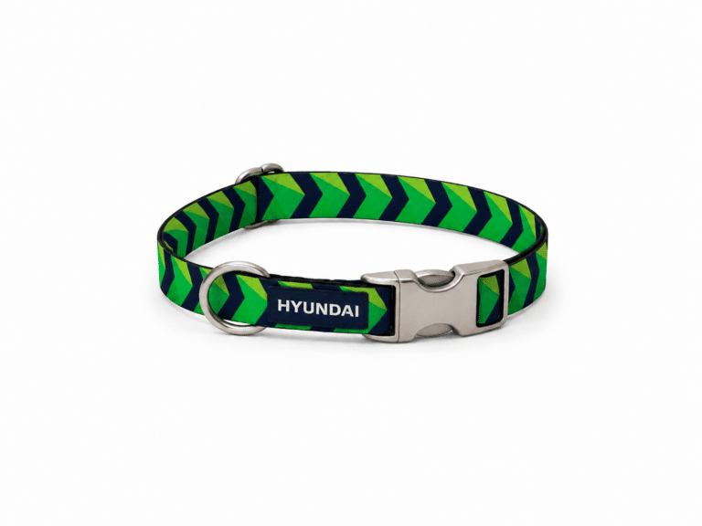 Dog Collar